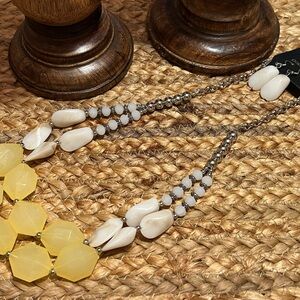 🍁NEW Paparazzi Necklace🍁